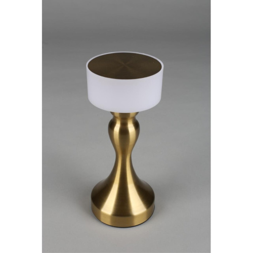 Настольная лампа OML-40304-01 фото 3