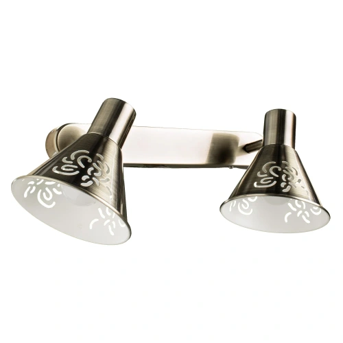 Спот Arte Lamp CONO A5218AP-2AB Спот Arte Lamp CONO A5218AP-2AB
