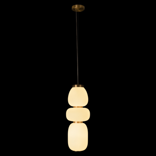 10422/C Подвесной светильник LOFT IT Duff фото 3 10422/C Подвесной светильник LOFT IT Duff фото 3