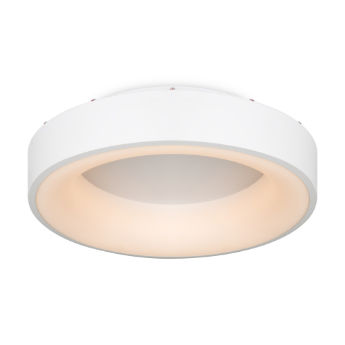 Потолочный светильник Freya FR6118CL-L45W фото 2