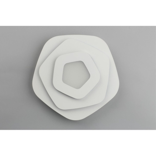 Светильник настенный (Бра) OML-07701-30 фото 4