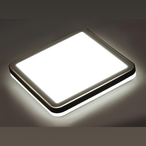 7621/DLN PALE SN 162 Светильник пластик/черн./медный LED 48Вт 3000-6000K 440х440 IP43 пульт ДУ EFFA фото 3 7621/DLN PALE SN 162 Светильник пластик/черн./медный LED 48Вт 3000-6000K 440х440 IP43 пульт ДУ EFFA фото 3