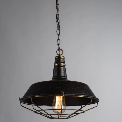 Подвесной светильник Arte Lamp PANDORA A9183SP-1BR фото 2