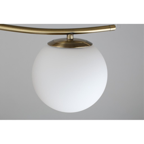 Люстра подвесная OML-94903-05 фото 12