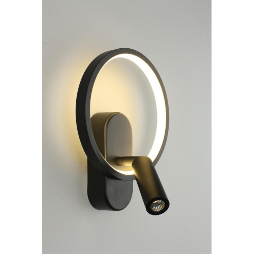 Светильник настенный (Бра) APL.346.01.02 фото 6