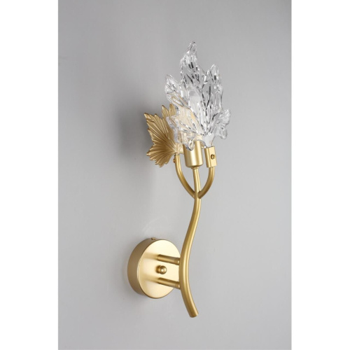 Светильник настенный (Бра) OML-52701-01 фото 4 Светильник настенный (Бра) OML-52701-01 фото 4