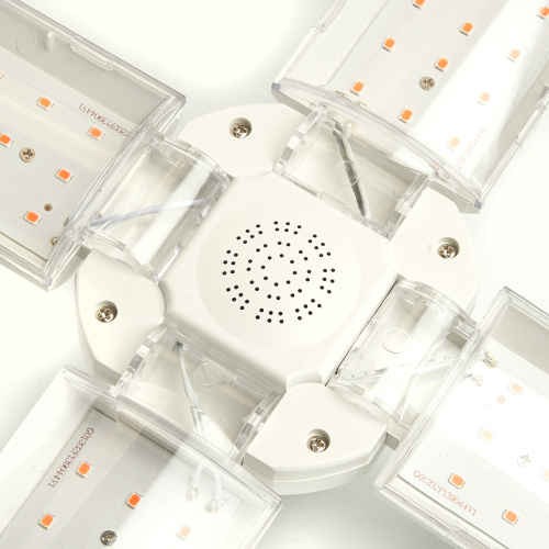 Лампа светодиодная 4-х лепестковая Feron LB-7000 E27 40W 175-265V красно-синий спектр фото 7