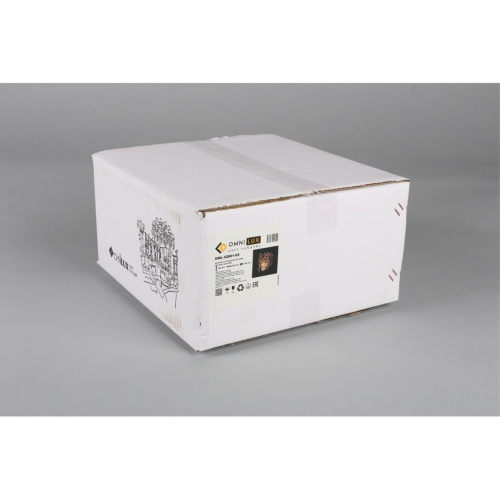 Светильник настенный (Бра) OML-52801-02 фото 10