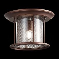 SL080.402.01 Светильник уличный потолочный ST-Luce Темный кофе/Прозрачный, Темный кофе E27 1*60W LASTERO