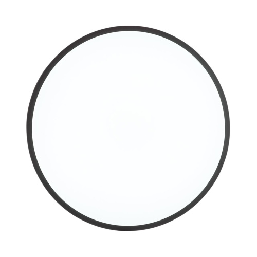 3012/DL TAN SN 000 Светильник пластик/черный LED 48Вт 3000-6300K D380 IP43 пульт ДУ/ LampSmart SMALLI фото 5 3012/DL TAN SN 000 Светильник пластик/черный LED 48Вт 3000-6300K D380 IP43 пульт ДУ/ LampSmart SMALLI фото 5