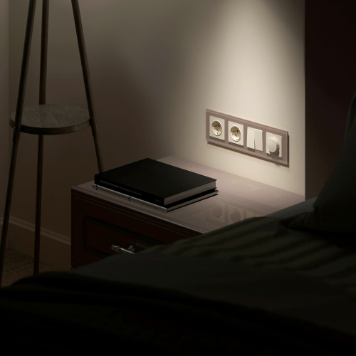 Рамка из стекла на 4 поста Favorit латте W0041142 фото 2