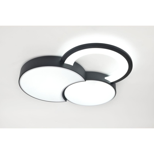 Потолочный светодиодный светильник Rivoli Aliona 6161-702 Б0066452 фото 9