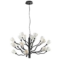 5090/18 MODERN ODL25 553 черный матовый/белый/фарфор Люстра G4 LED 18*5W GARDI