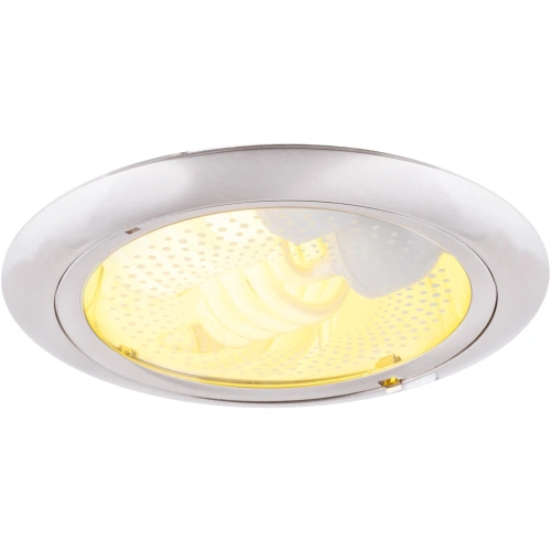 Точечный встраиваемый светильник Arte Lamp DOWNLIGHTS A8060PL-2SS Точечный встраиваемый светильник Arte Lamp DOWNLIGHTS A8060PL-2SS