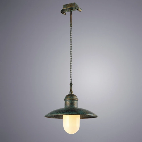 Подвесной светильник Arte Lamp PASSATO A9255SP-1BG фото 2