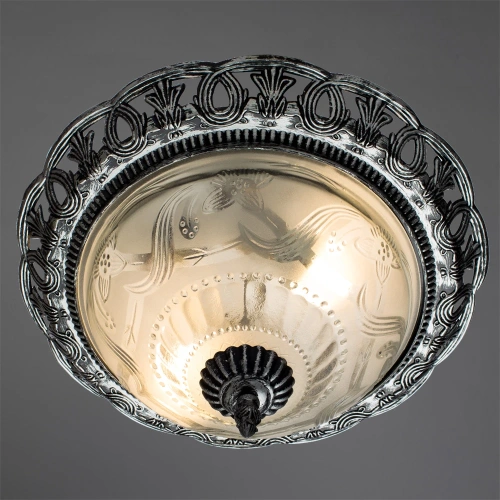 Потолочный светильник Arte Lamp PIATTI A8001PL-2SB фото 2 Потолочный светильник Arte Lamp PIATTI A8001PL-2SB фото 2