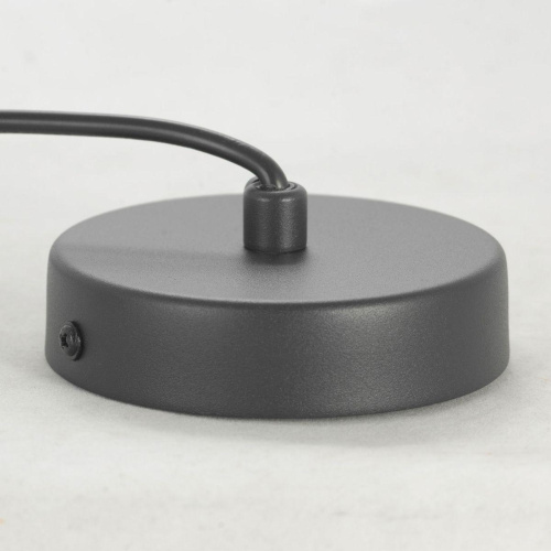 Подвесной светильник Lussole Loft LSP-8487 фото 4