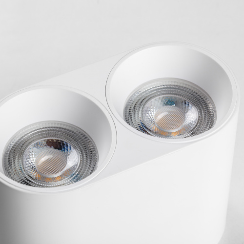 213466 Рамка (светильник) PVC д/LED-модулей 941хх и LED-ламп D50мм RULLO 2x ROUND БЕЛЫЙ фото 2