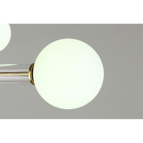 Люстра потолочная OML-29507-08 фото 7 Люстра потолочная OML-29507-08 фото 7