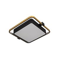 10171 Потолочный светильник LOFT IT Mike