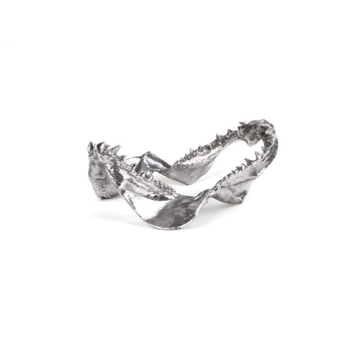 Статуэтка Wunderkammer Shark Jaw фото 4 Статуэтка Wunderkammer Shark Jaw фото 4