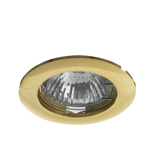 Точечный встраиваемый светильник Arte Lamp BASIC A2103PL-1GO Точечный встраиваемый светильник Arte Lamp BASIC A2103PL-1GO