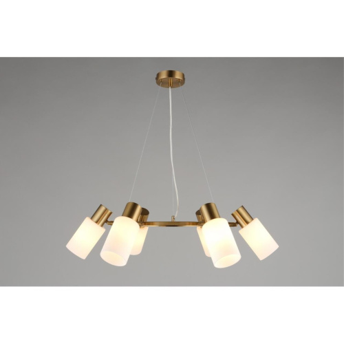 Люстра подвесная OML-69103-06 фото 9 Люстра подвесная OML-69103-06 фото 9