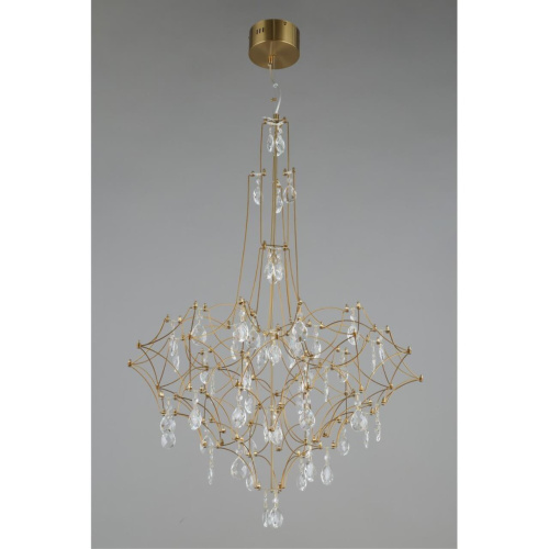 Люстра подвесная OML-95713-60 фото 6