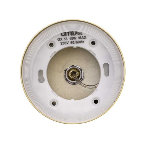 Подвесной светильник Citilux Hardy CL002P12 фото 4