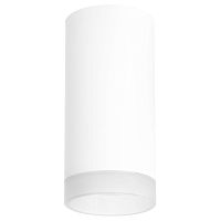 Комплект с потолочным светильником Lightstar Rullo (216486+202480) R648680