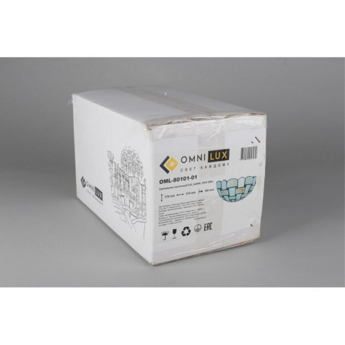 Светильник настенный (Бра) OML-80101-01 фото 5 Светильник настенный (Бра) OML-80101-01 фото 5