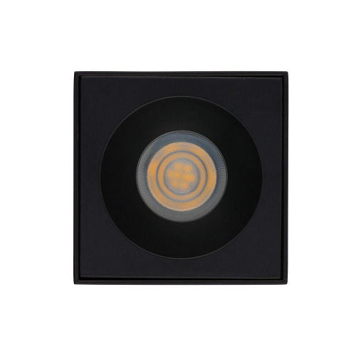 Потолочный светильник Nowodvorski Bravo 8365 фото 2