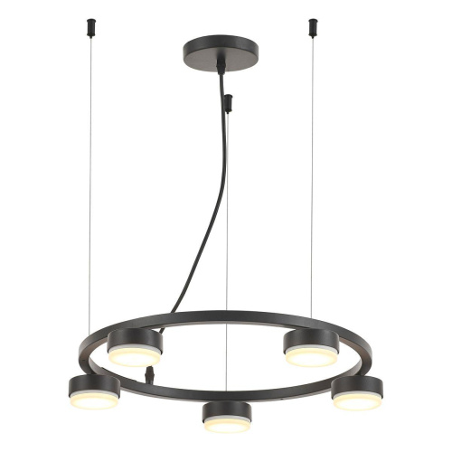 Подвесная люстра Rivoli Leontina 4136-305 Б0066428 фото 2